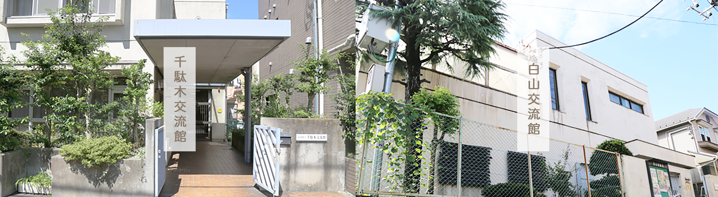 千駄木交流館 白山交流館